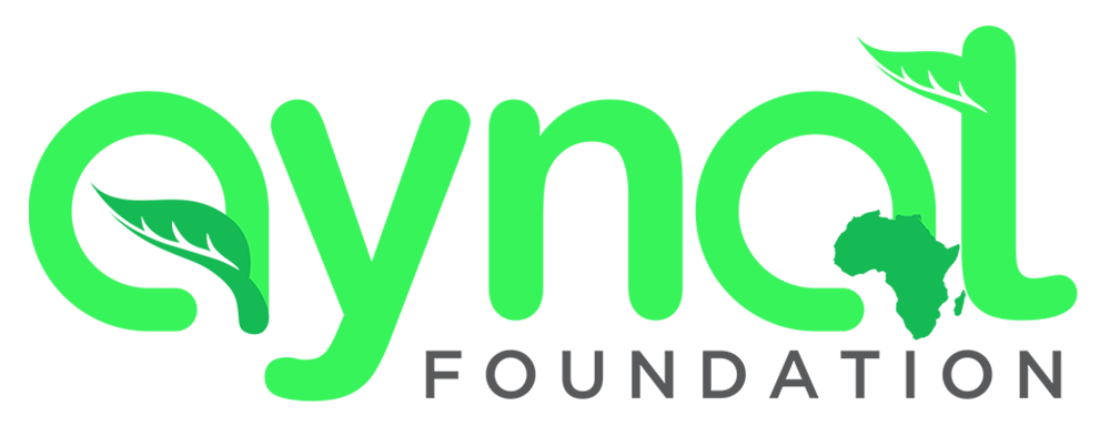 AYNAT logo
