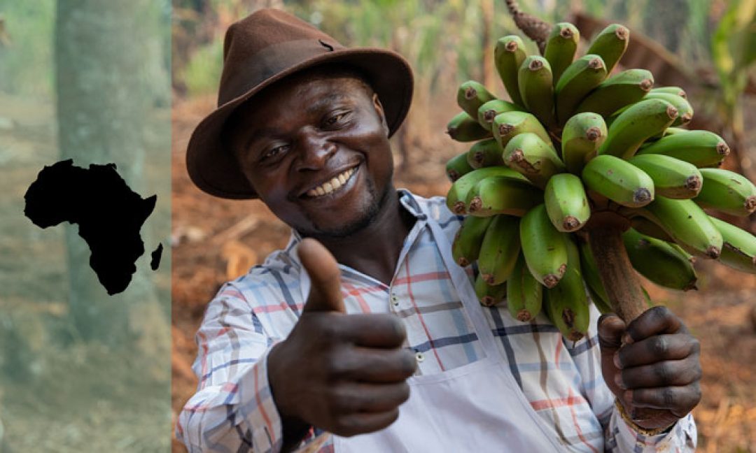 Why the Future is African Agriculture